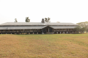 Buildings
